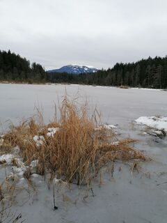 Fotografia z Dagmar Hofer na trase