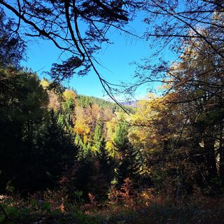 Foto von ursula korn entlang der Tour