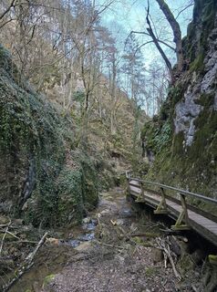 Fotografija s spletne strani Liviu Cosmim Berwein Matu na poti
