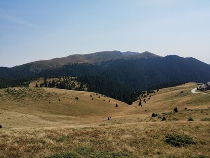 Fotografia z Tasurinki Mitote na trase