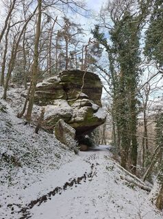 Photo de Dany Jamaer le long du parcours