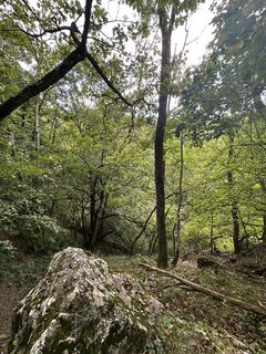 Fotografie z Nóra Elek 1 na trase