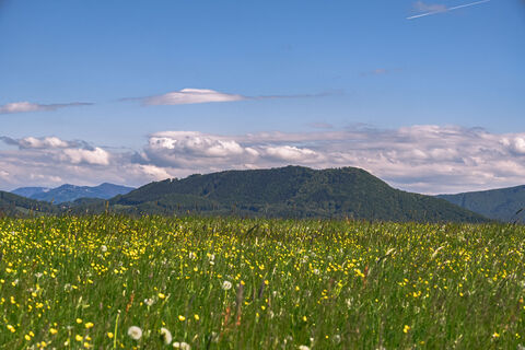 Fotó a Leo Fahrngruber honlapról a túra során