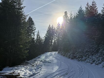 Foto de Norbert Herbig a lo largo del recorrido
