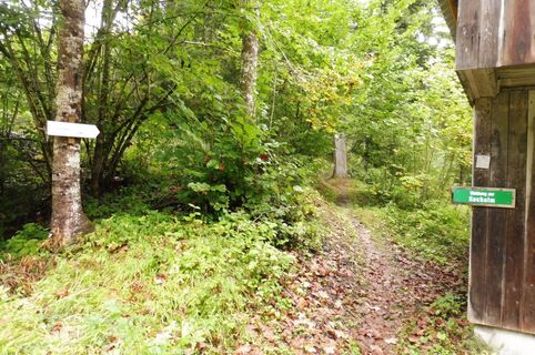 Hier geht's von der Kochalmstraße weg