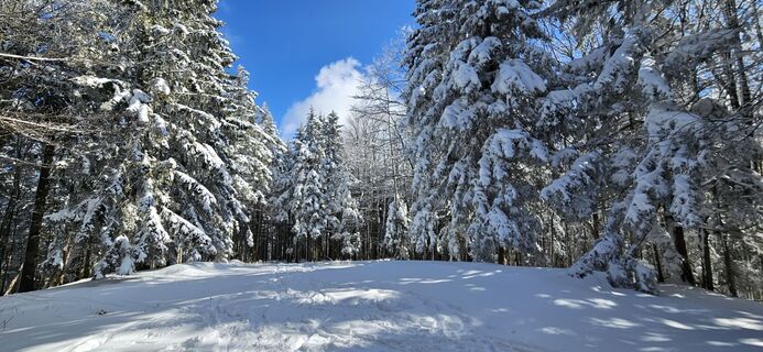 Foto von Mateja Rečnik entlang der Tour