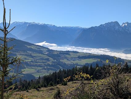 Fotografija s spletne strani Pfefferam na poti