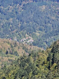 Photo de Marius Ukrinas le long du parcours