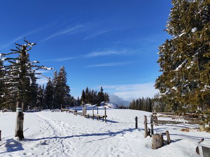 Fotografija s spletne strani v.stein na poti