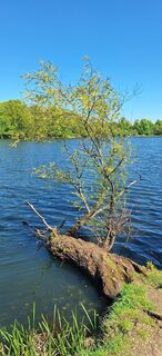 Photo from Hallunke Frank along the tour