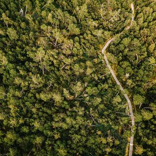 Georgenfelder Hochmoor, Luftaufnahme