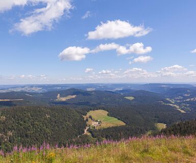 Blick vom Feldberg auf den Raimartihof