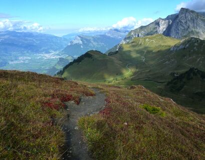 Blick hinunter ins Rheintal