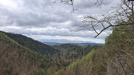 Foto de Vladimira Oleksikova a lo largo del recorrido