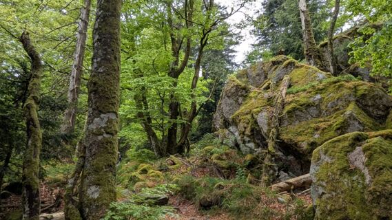 Photo de Richard Schwald le long du parcours