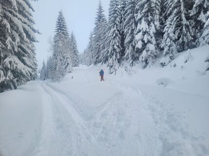 Foto von schenkeli entlang der Tour