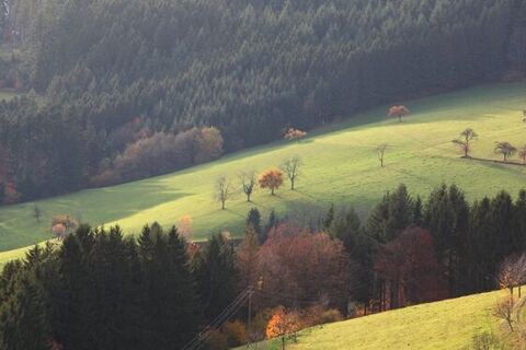 Wandern auf dem Großen Hansjakobweg