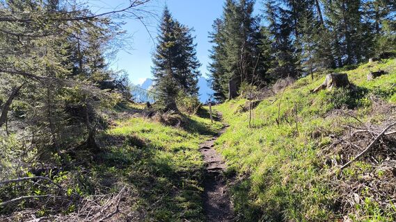 Fotografia z WilliSt na trase