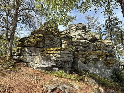 Fotografia z Norbert Herbig na trase