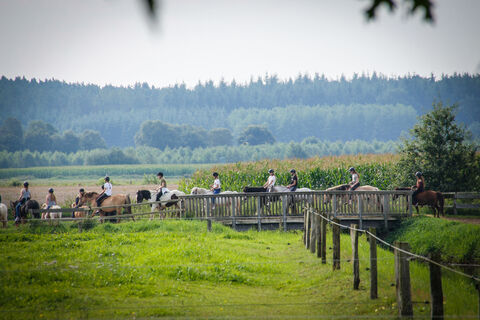 Reiten in Hilter ©Emsland Tourismus GmbH (2).JPG