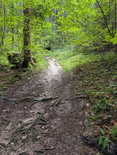 Vorderstoder, Oberösterreich/Österreich