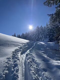 Фото с сайта Heinz Sperl во время экскурсии