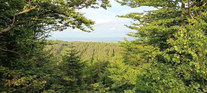 Photo de Franz Fürlinger le long du parcours