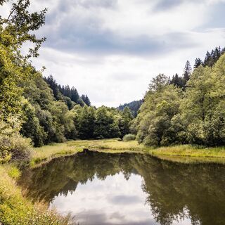 Märtesweiher Klosterreichenbach