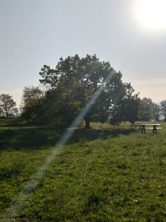 Foto von Poschacher entlang der Tour
