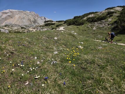 Foto de Gerti Bärnthaler a lo largo del recorrido