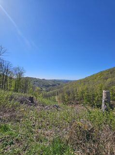 Zdjęcie z Volker Wagener wzdłuż trasy