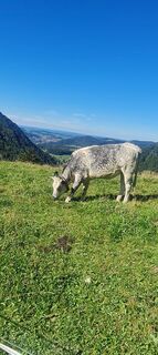 Fotografie z Bps Wiedemann na trase