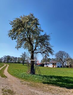 Vor dem Ortsteil Berg geht's nach links