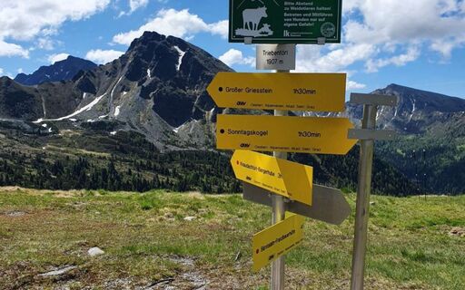 Wegweiser Treibenertöl