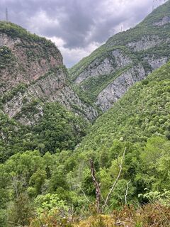 Foto von Heikoala entlang der Tour