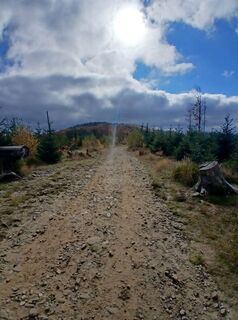 Fotografie z Daniel Kremiec na trase