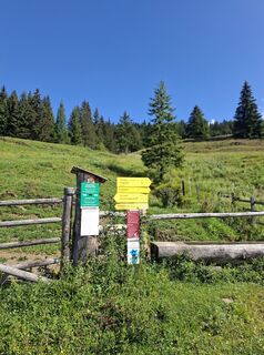 Photo de Filou und Luna le long du parcours