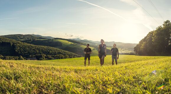 Der Beethoven Panoramaweg