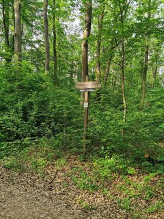 Photo de Ronald Peters 1 le long du parcours