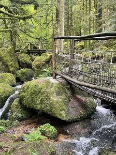 Photo de Ralf Umminger le long du parcours