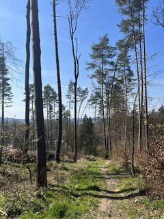 Fotografia z Václav Stejskal na trase