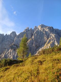 Fotografia z Robert Wösner na trase