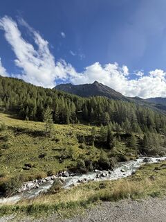 Fotografija s spletne strani Robert Meier na poti