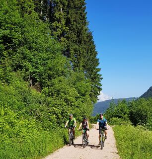Val di Fiemme Eisenbahn