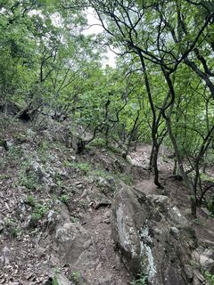 Fotografia z Nóra Adamkovich na trase