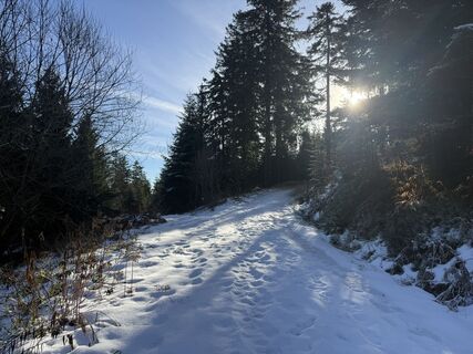 Fotografija s spletne strani Nico Eisner na poti