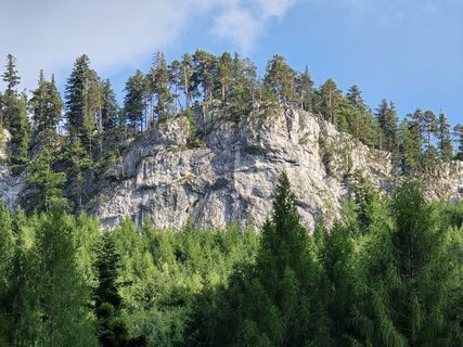 Foto von TwilightTea entlang der Tour