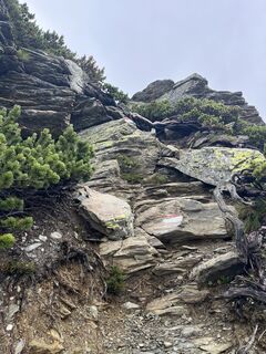 Photo de Stefan Otto le long du parcours