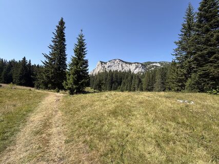 Foto de Rutger Lieverse a lo largo del recorrido