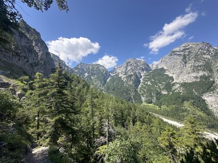 Fotografija s spletne strani Martin na poti